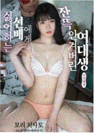 精品剧集推荐 高分剧集重看清单封面
